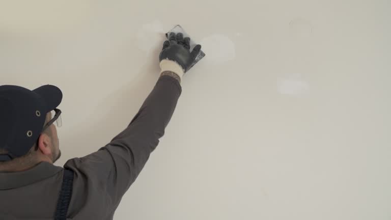 Best Pressure Washing and Painting Preparation  in Spring Hill, TN